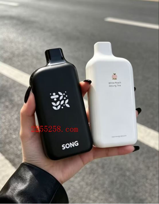 崧冰砖 SONG崧A38冰果系列 一次性雾化设备核心解析
