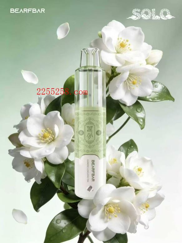 受够了糊芯?试试比熊Solo 24节气,双陶瓷芯+AI控温到底有多稳