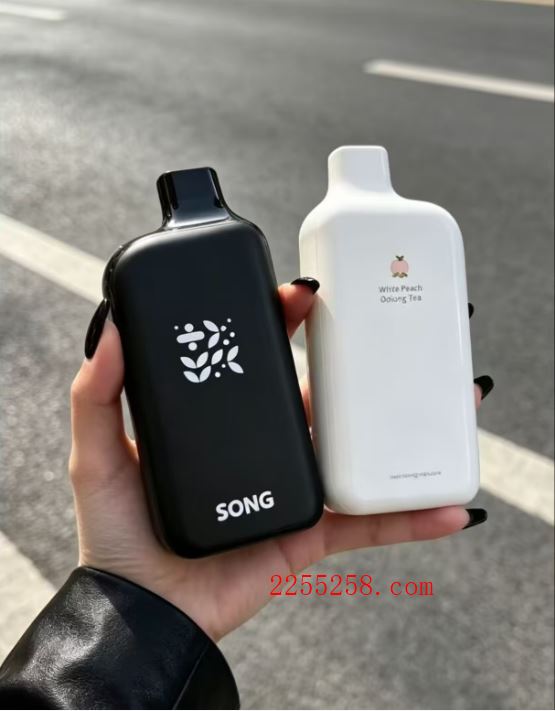 SONG崧A38冰果17000口一次性冰键设计,双味尽享！